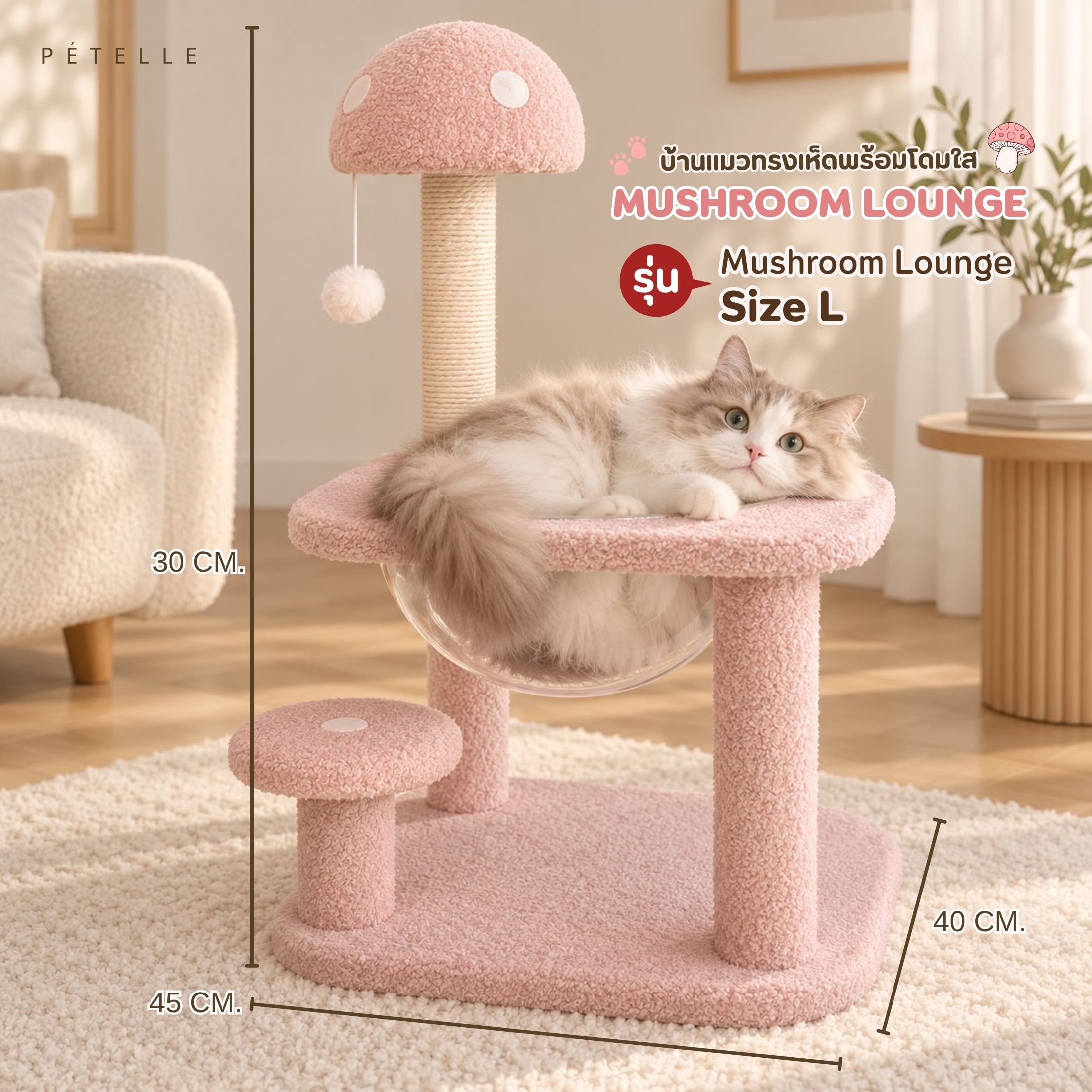 บ้านเห็ดแมวพร้อมโดมใส PETELLE รุ่น MUSHROOM LOUNGE ไซส์ L_5